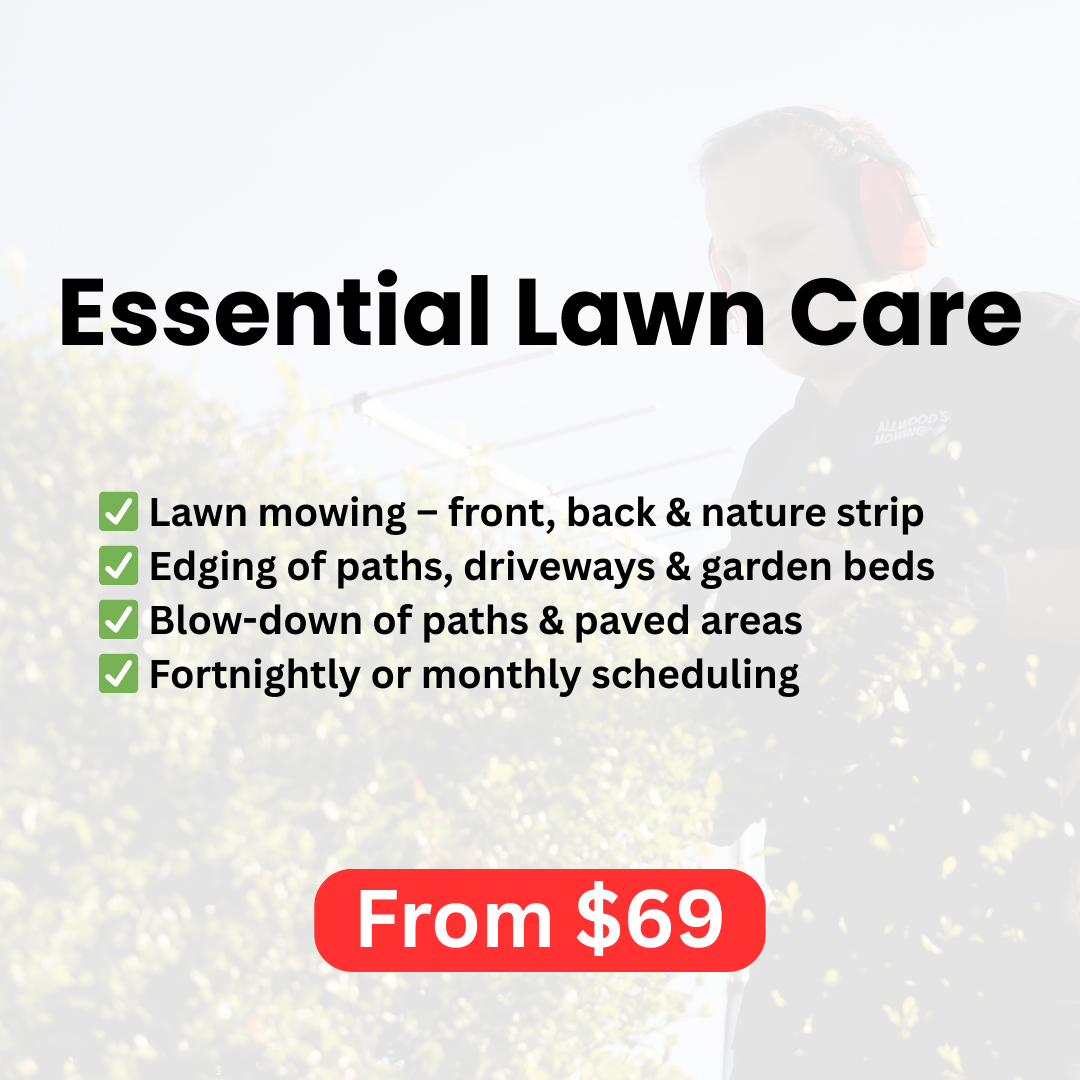 Essential Lawn Care